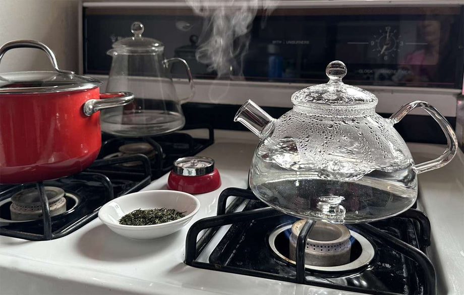 Gas Stove Best Tea Kettle For Electric Stove Stove Top Most